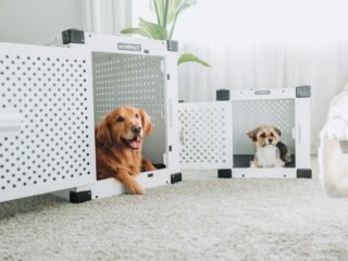 Švarus oras namuose su augintiniais dėka modernios vėdinimo sistemos.